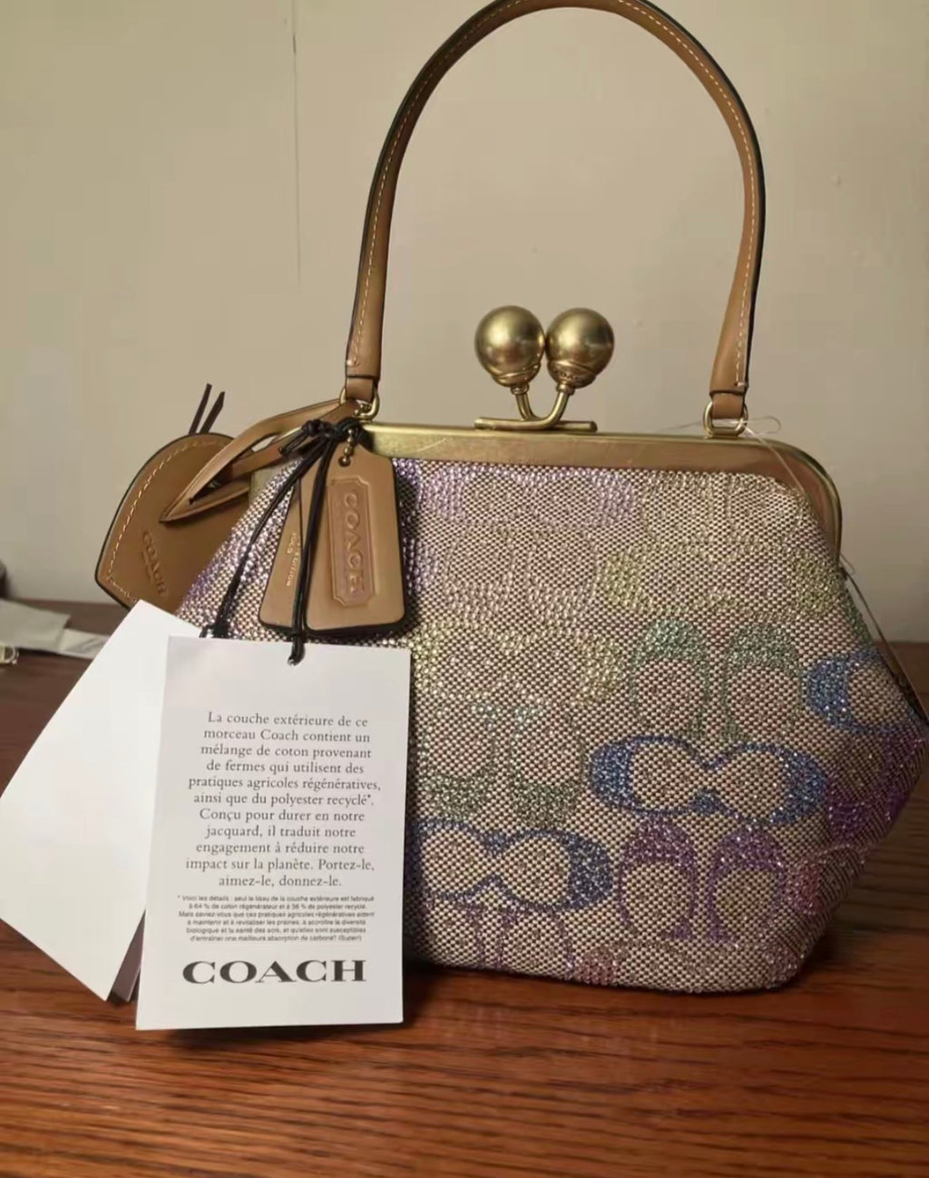 Coach Kisslock Frame Bag – Signature Rainbow Canvas