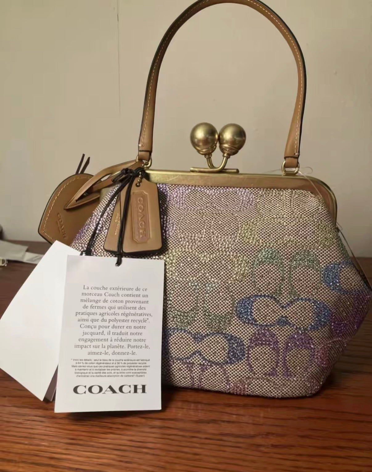 Coach Kisslock Frame Bag – Signature Rainbow Canvas